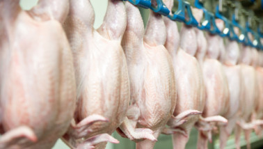 Productielijn in een kippenvleesfabriek waar kippenvlees industrieel wordt verwerkt.