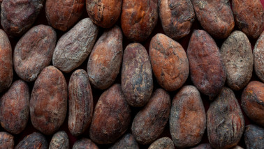 Cacao