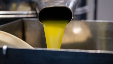 Productie van olijfolie