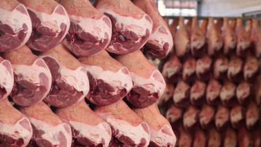 In een hamfabriek hangen hammen te rijpen.