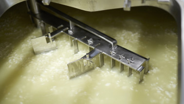 Industriële productie van cheddarkaas in een zuivelfabriek