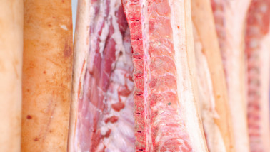 Vleesfabriek met varkenskarkassen die aan haken hangen