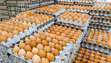 Opgestapelde eieren in trays voor opslag of transport.