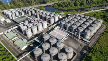 Boerenbusiness palmolie