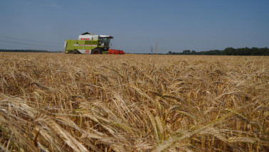 combine gerst brouwgerst gerstoogst zomergerst