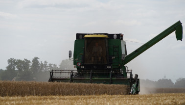 graanoogst combine tarweoogst