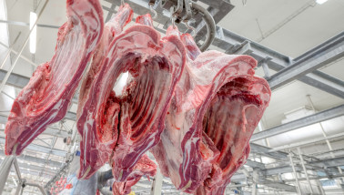 Vleesfabriek met runderkarkassen die aan haken