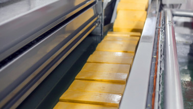 Industriële kaasproductie in een zuivelfabriek