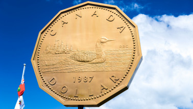 Boerenbusiness Canadese dollar