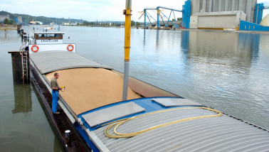 Graan dat wordt geladen in een vrachtschip voor transport over water.