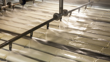 Productie van mozzarella kaas in een zuivelfabriek