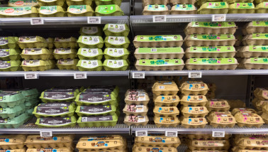 Verpakte eieren uitgestalt in de supermarkt.