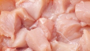 Vers kipvlees