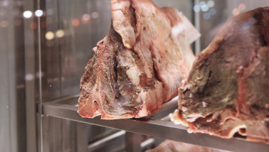 Productie van rundvlees