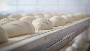 brood bakkerij