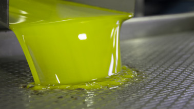 Productie van eetbare oliën in een industriële verwerkingsfabriek.