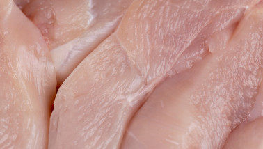 Vers kipvlees