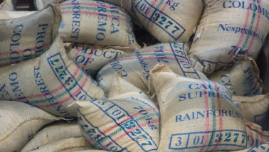 Zakken met koffiebonen, gereed voor opslag of verdere verwerking.