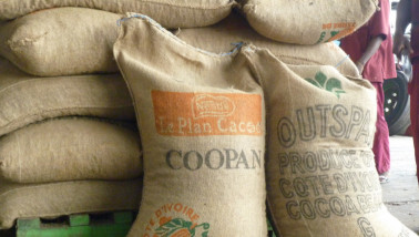 Nestle Cacao