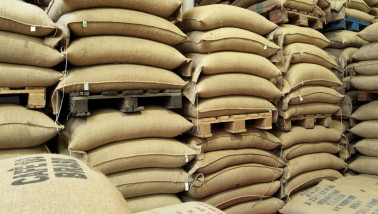 Zakken met koffiebonen, gereed voor opslag of verdere verwerking.