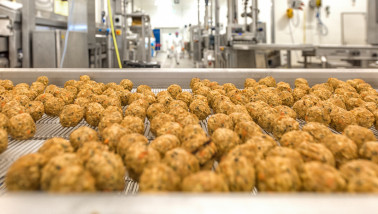 Productie van plantaardig vlees bij Schouten Food