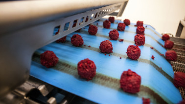 Productie van vleesvervangers bij Schouten Food
