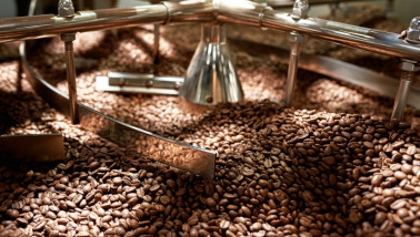 Geroosterde koffiebonen die worden gemengd in een industriële menger van een koffiebranderij.