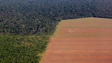 Ontbossing in Brazilië, luchtfoto van een groot sojaperceel dat oprukt in het tropisch regenwoud.