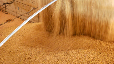 Hoop sojabonen opgestapeld voor opslag