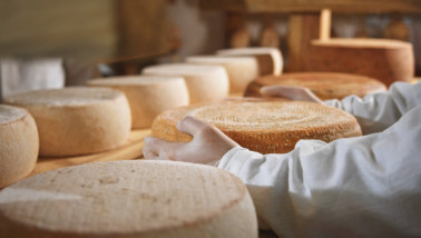 Kazen rijpend op houten planken