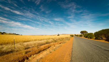 australie tarwe - agri