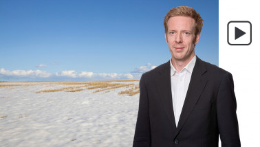 sneeuw tarwe