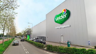 kaas FrieslandCampina Velder