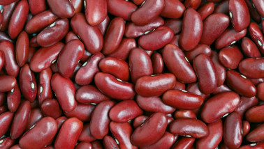 Rauwe kidneybonen