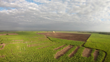 Luchtbeeld van gewassen die groeien op een akker in Texas