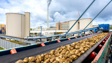 Transportband bij Südzucker waarop geoogste suikerbieten (zuckerrüben) worden afgevoerd voor verwerking.