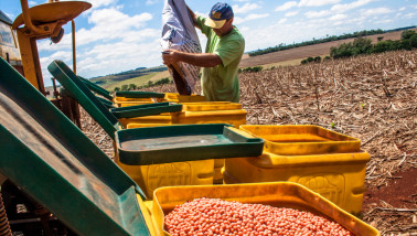 Boer vult een zaaimachine met sojazaden