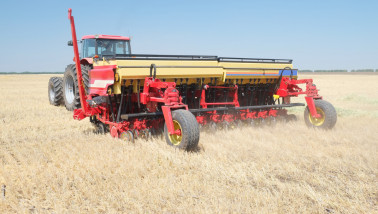 Tarwe zaaien, Rusland