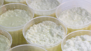 Verse ricotta kaas, zachte Italiaanse zuivel gemaakt van wei