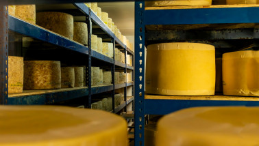 Interieur van een opslagruimte met rekken vol Cheddar kaas