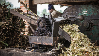 Suikerrietpers in een landelijke suikermolen in India