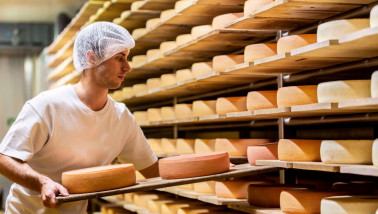 Emmi Beverkäse zuivelfabriek in Lesa, Italië, kaasproductielocatie