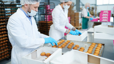 productie bakkerij voedselproductie