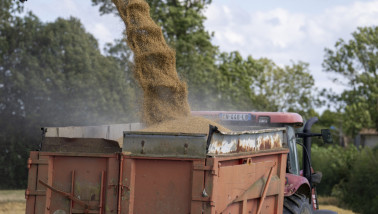 French grain harvest, agricultural machinery in action