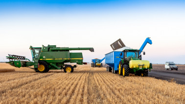 Graanoogst in Australië