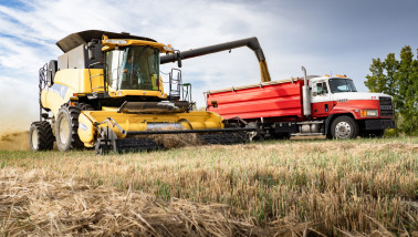 Graan dorsen uit het zwad in Canada