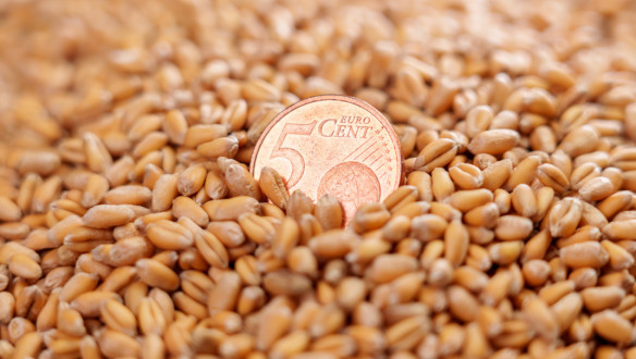 Europese munt van vijf cent tussen een hoop tarwekorrels.