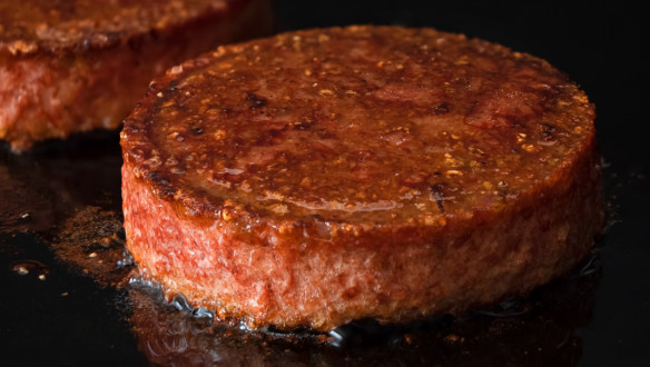 Veganistisch vleesalternatief gemaakt van plantaardige ingrediënten, eiwitbron