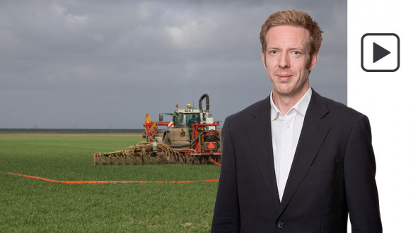 wintertarwe tarwe bemesten