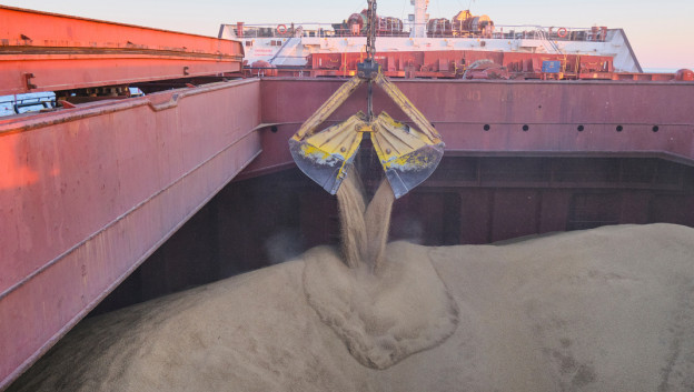 Te veel leunen op export maakt landbouw gevoelig - Analyse Granen & Grondstof